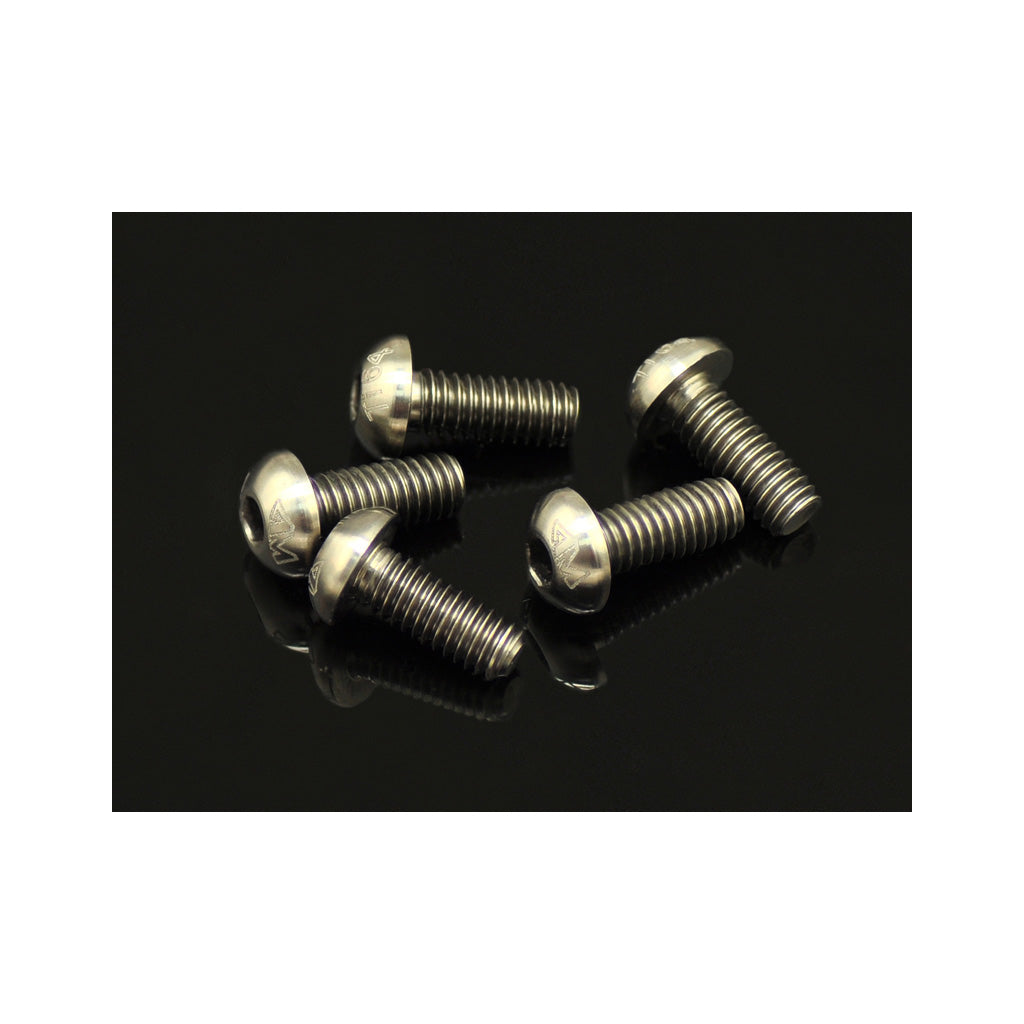 64 Ti Screw Allen Round Head M4x12   (5)
