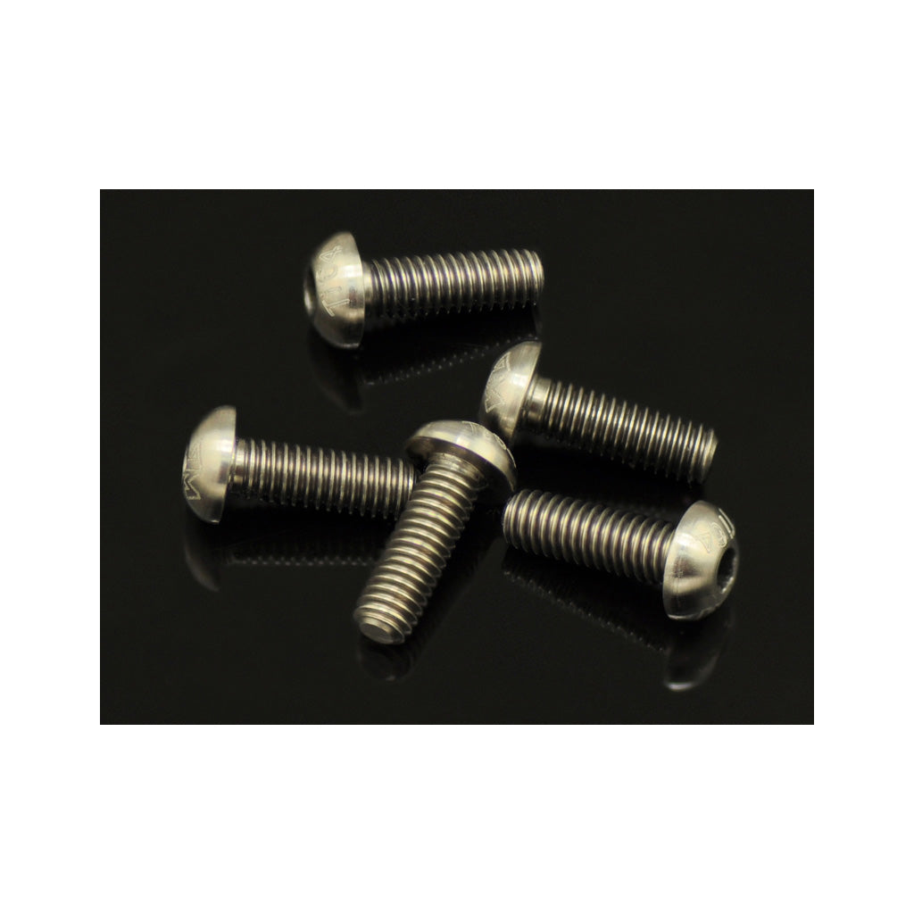 64 Ti Screw Allen Round Head M4x12   (5)
