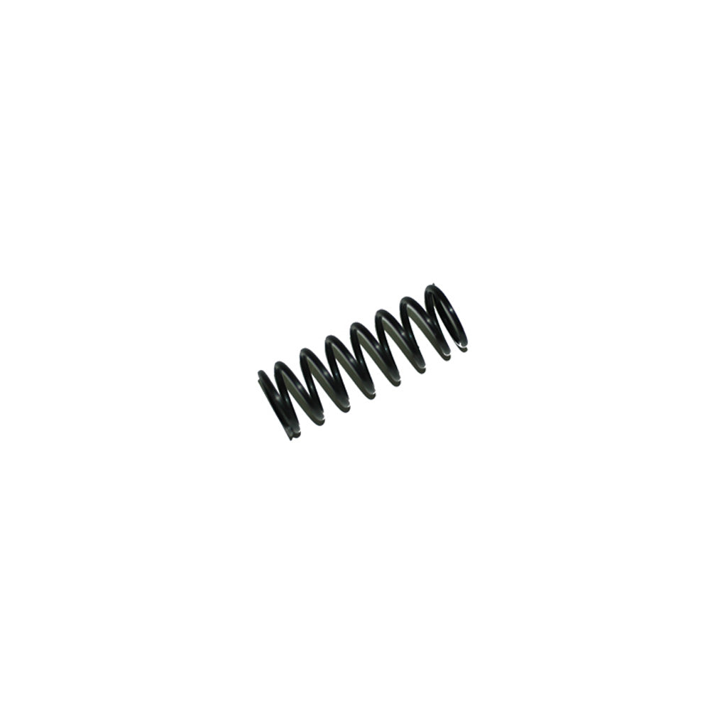 Rear Shock Spring