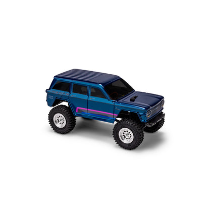 F2 CAT PB body w/ Carpet / Turf / Dirt Wing