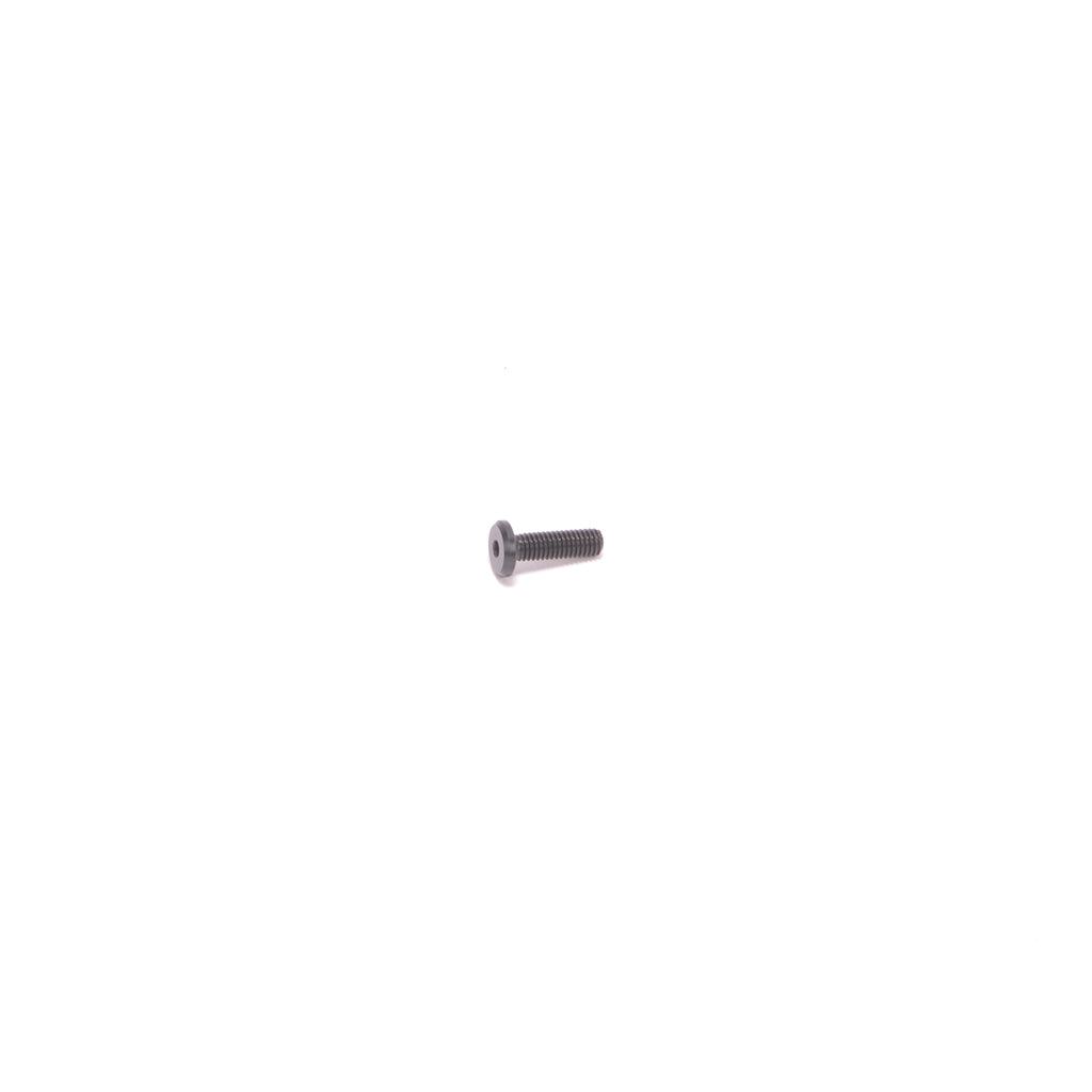 M3x10 Low Profile Head Screw (Servo Mt.)- CAT 2000