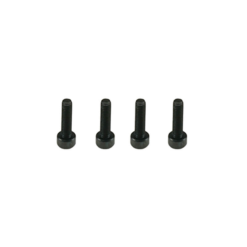 CARISMA MINI 4XS KING PIN SCREW SET